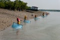 Prawn seed collection in Sunderban